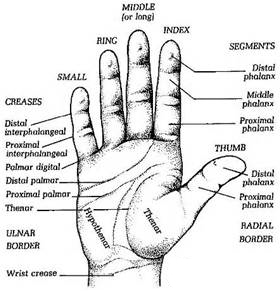 hand